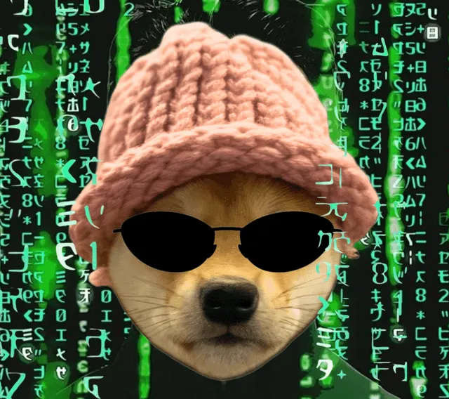Hacker Dog